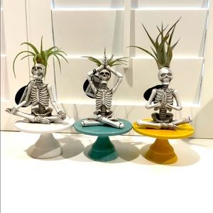 Trader Joe’s yogi skeletons